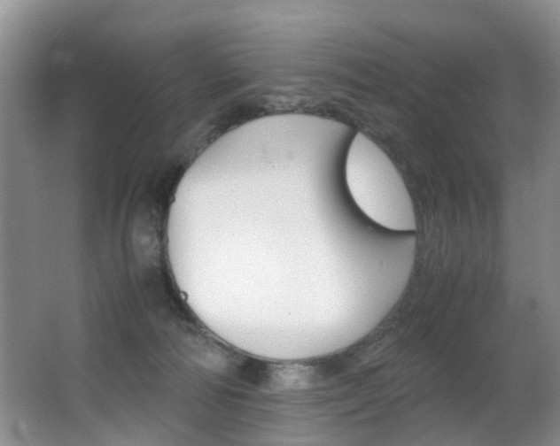 X0000062900226200601131052