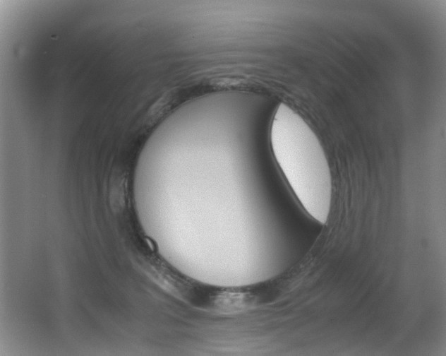 X0000062900227200601131052