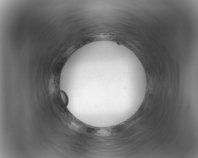 X0000062900236200601131052