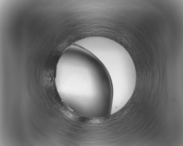 X0000062900237200601131052