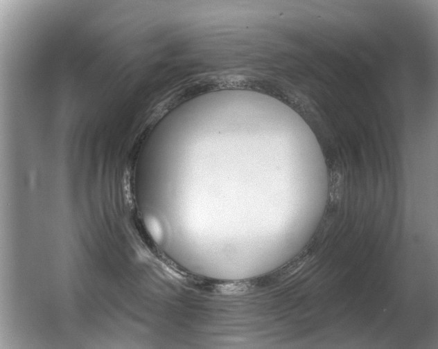 X0000062900238200601131052