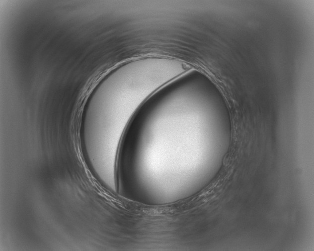 X0000062900241200601131051