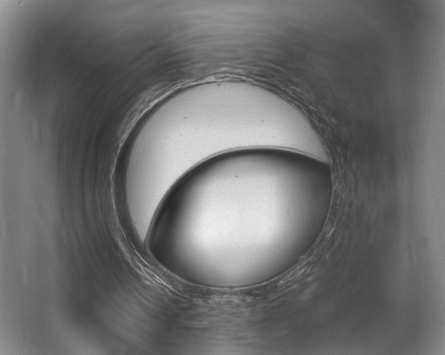 X0000062900242200601131051