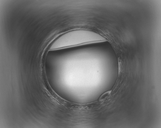 X0000062900243200601131051