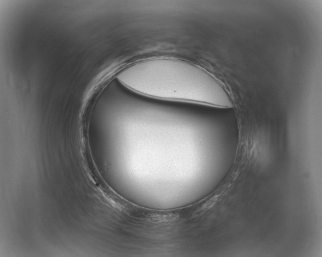 X0000062900245200601131051