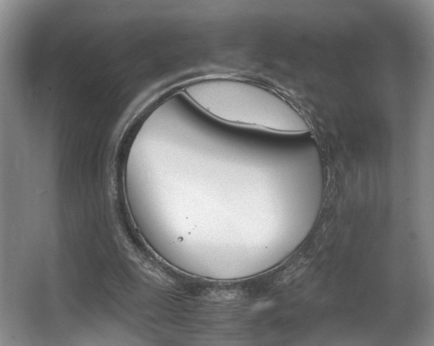 X0000062900247200601131051