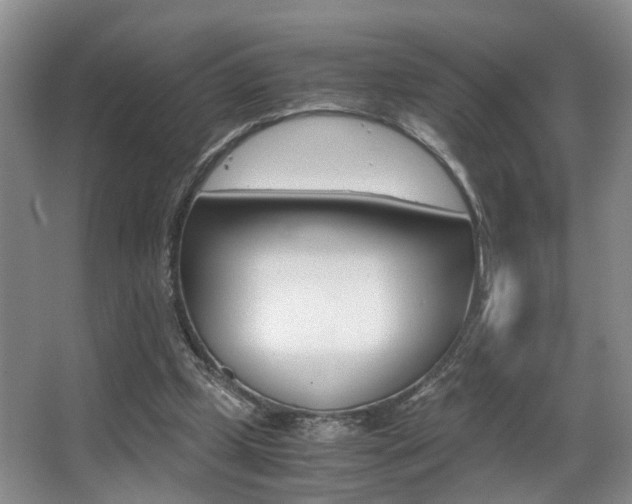 X0000062900249200601131051