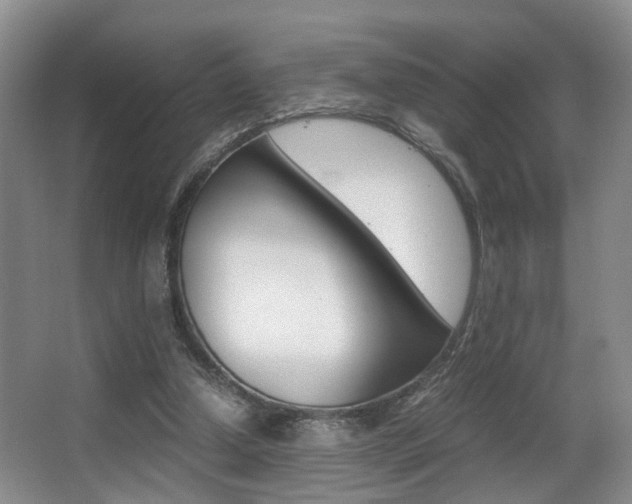 X0000062900250200601131051