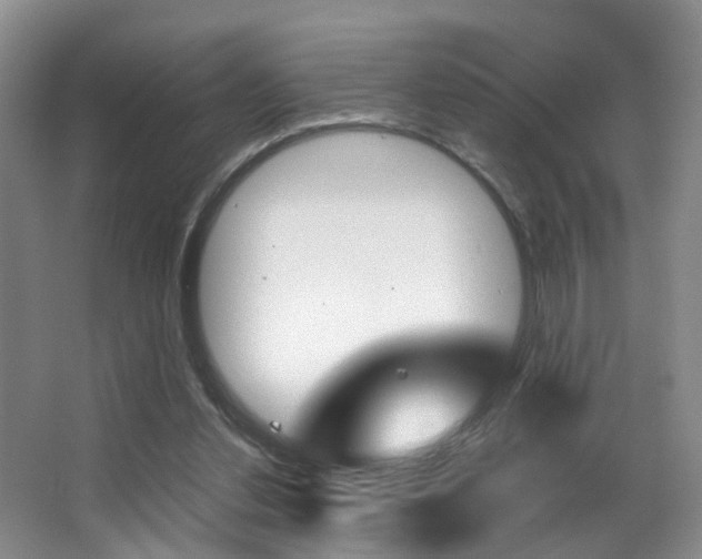X0000062900252200601131051