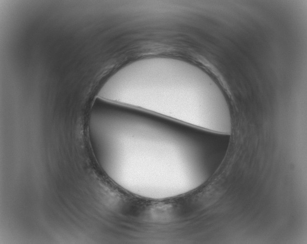 X0000062900257200601131051