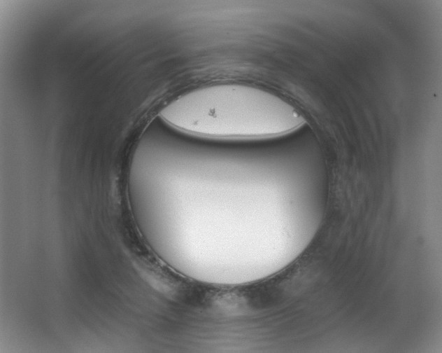 X0000062900258200601131051