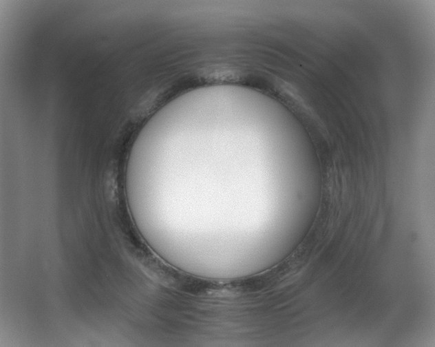 X0000062900259200601131051