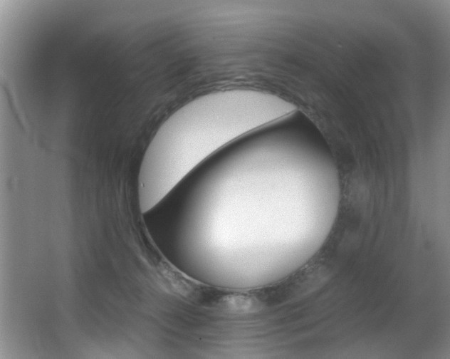 X0000062900272200601131051
