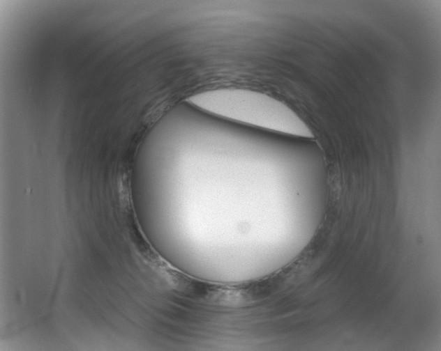 X0000062900276200601131051