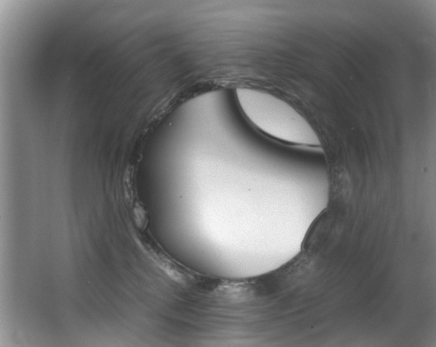 X0000062900280200601131052
