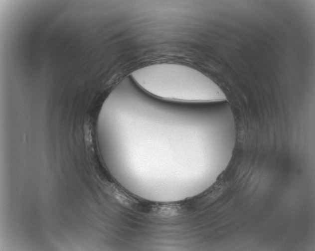 X0000062900282200601131052