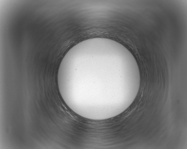 X0000062900288200601131052