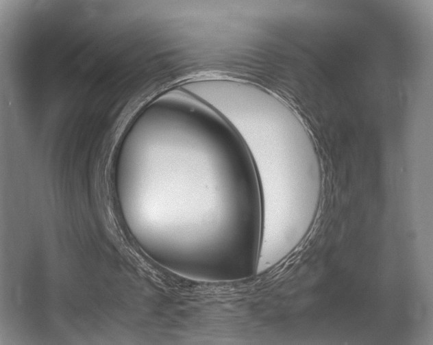 X0000062900289200601131051