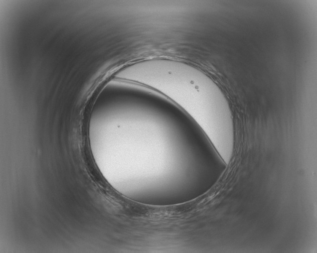 X0000062900291200601131051