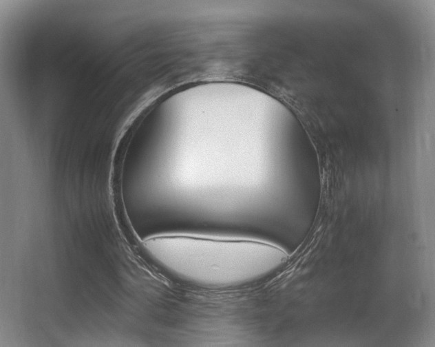 X0000062900292200601131051