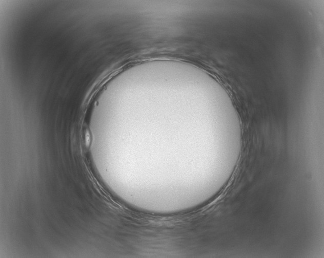 X0000062900293200601131051