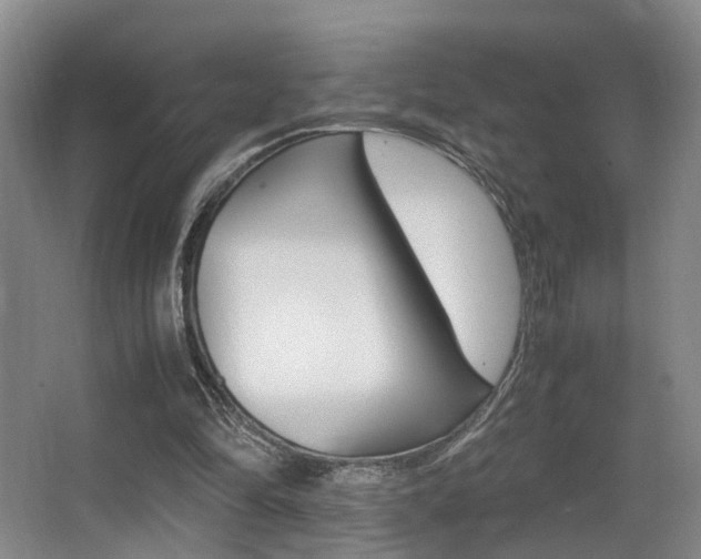 X0000062900294200601131051