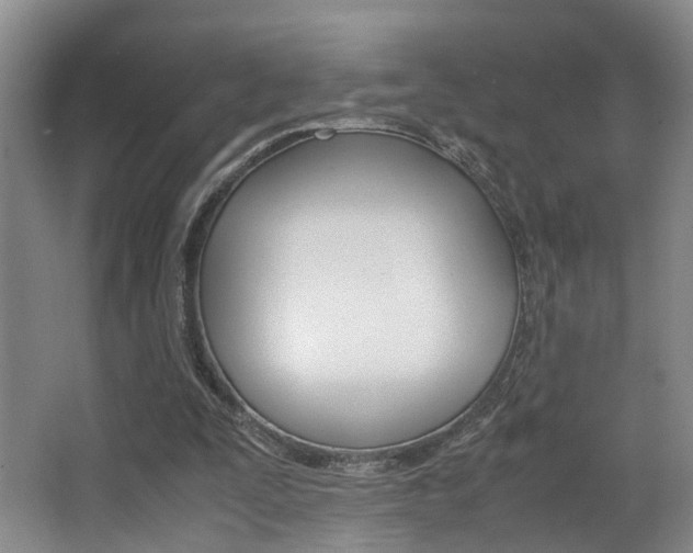 X0000062900295200601131051