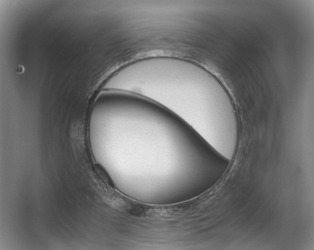 X0000062900297200601131051
