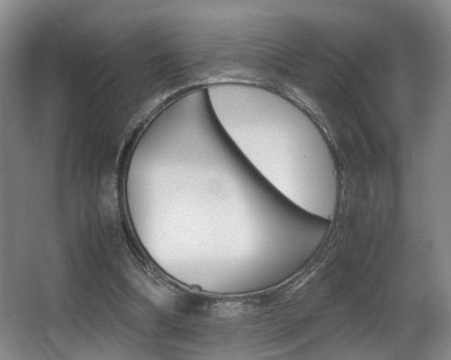 X0000062900298200601131051