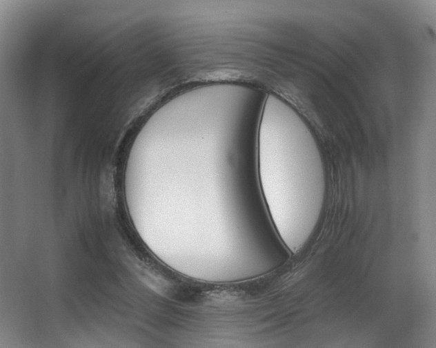 X0000062900300200601131051