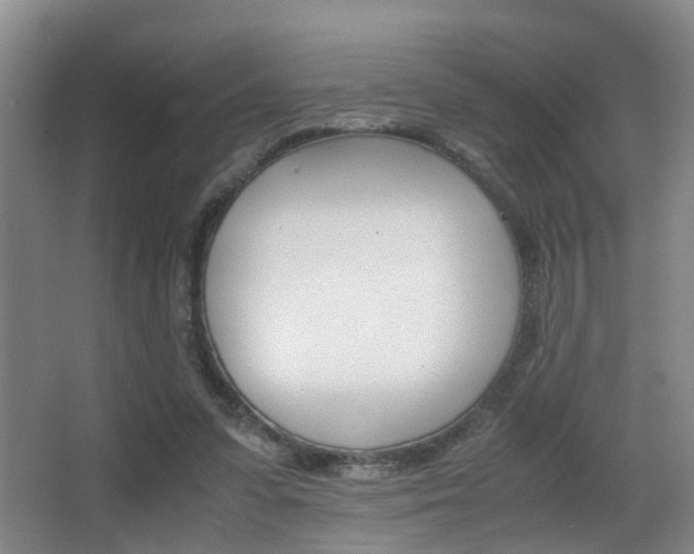 X0000062900303200601131051