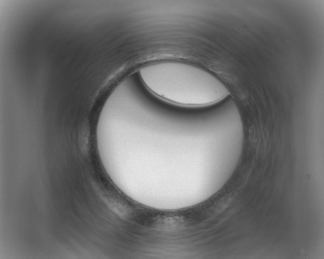 X0000062900304200601131051