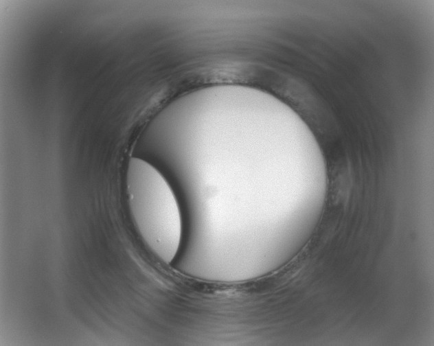 X0000062900310200601131050