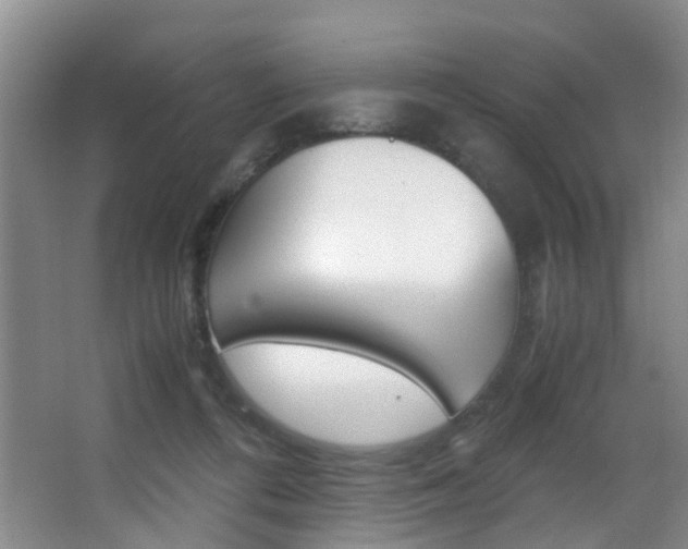 X0000062900312200601131050