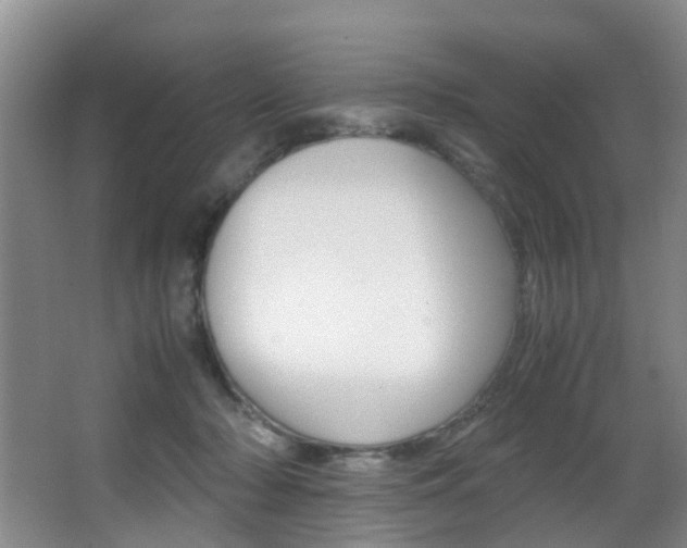 X0000062900318200601131050