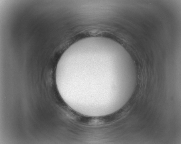 X0000062900319200601131050