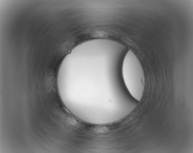 X0000062900322200601131050