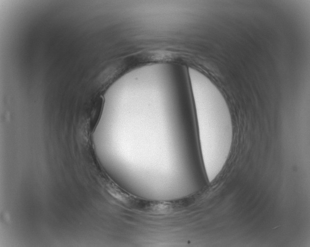 X0000062900325200601131050