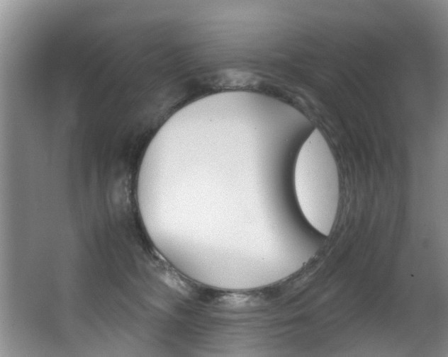 X0000062900326200601131050