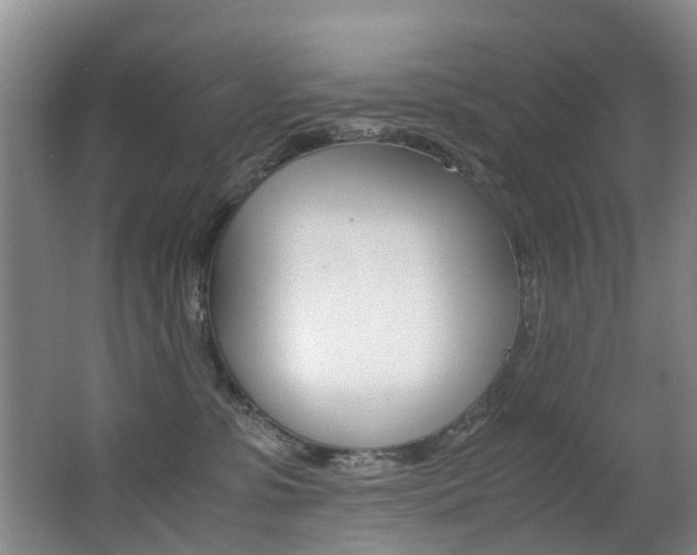 X0000062900331200601131050