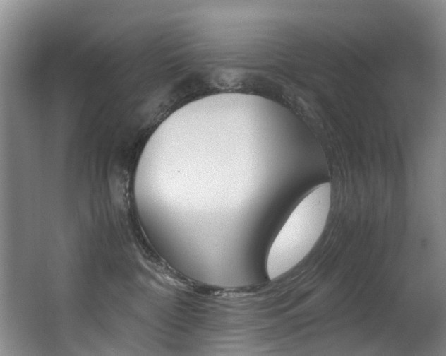 X0000062900332200601131050