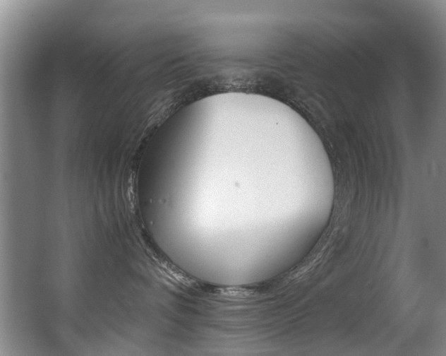 X0000062900336200601131050