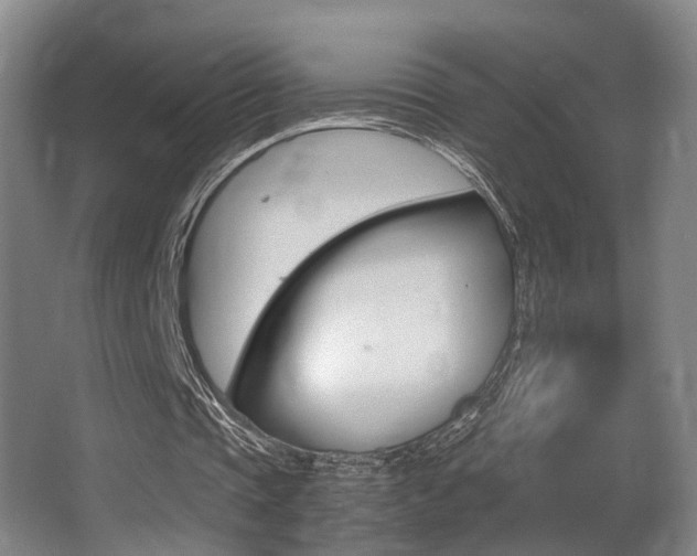 X0000062900337200601131049