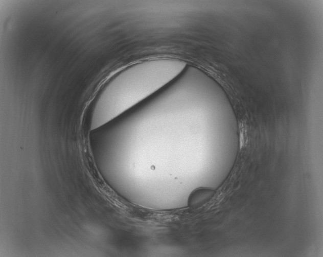 X0000062900339200601131049