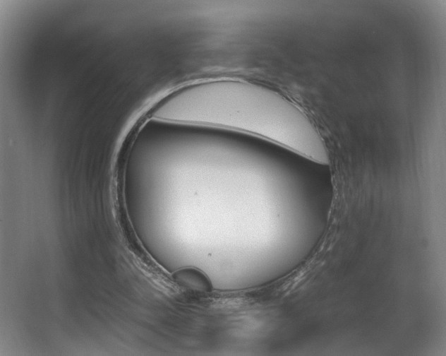 X0000062900342200601131049