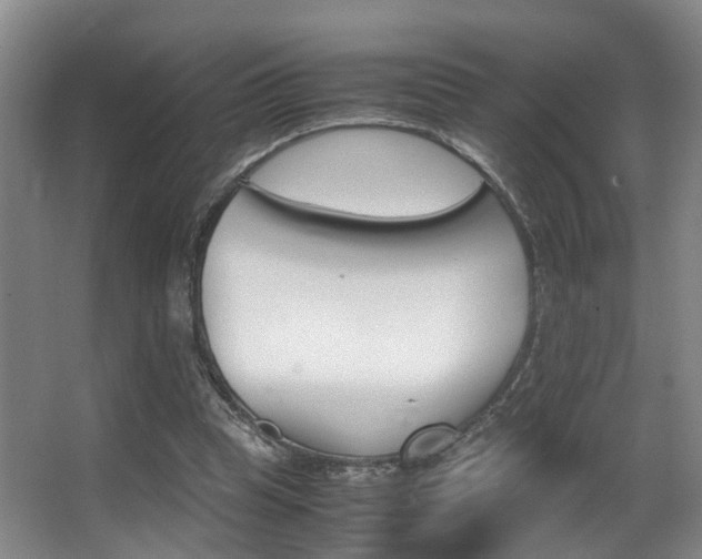X0000062900345200601131049