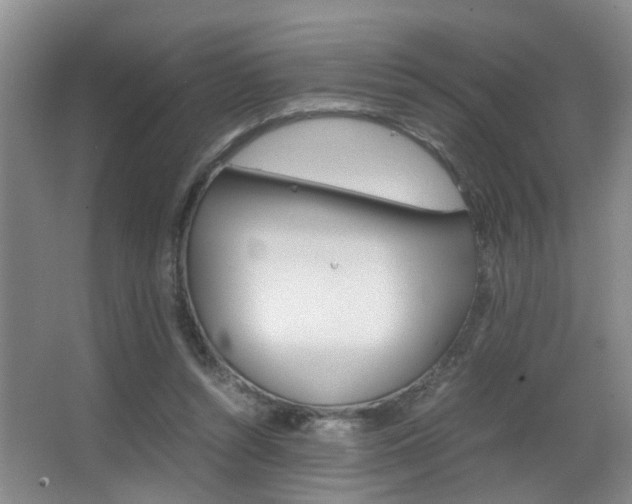 X0000062900352200601131049