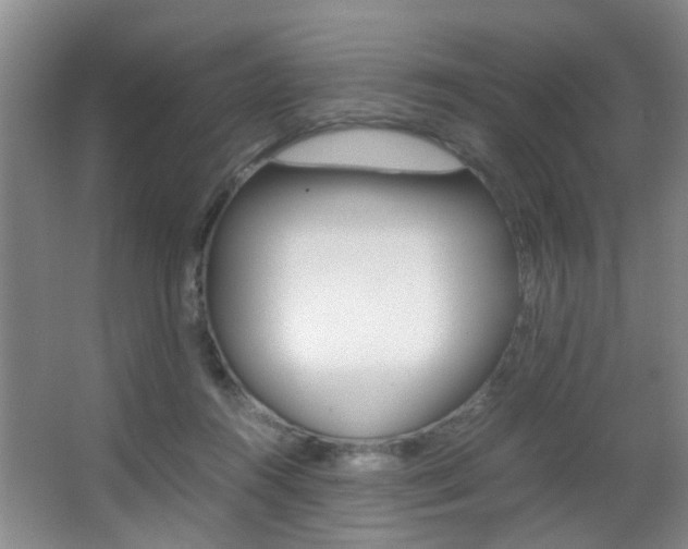 X0000062900360200601131050