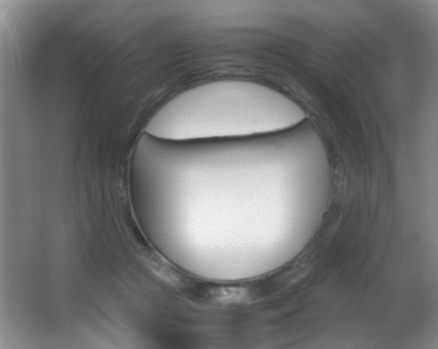 X0000062900361200601131050
