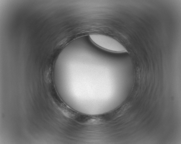 X0000062900364200601131050